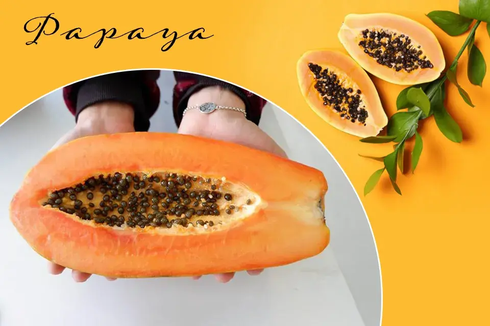 /var/www/html/rayvat_com/assets/images/fruit-day/Papaya_Day/1 (2)